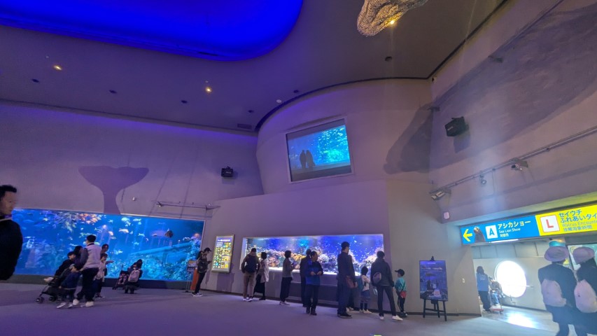 鳥羽水族館