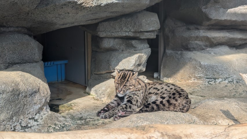 鳥羽水族館