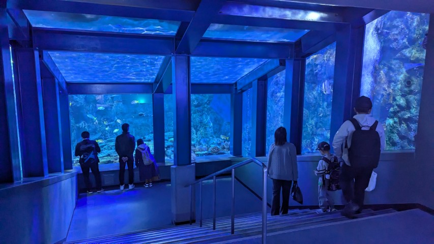 鳥羽水族館