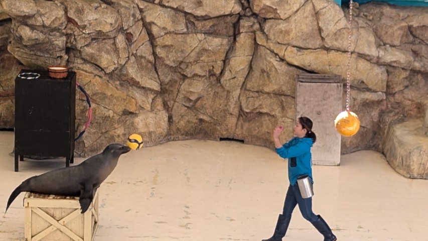 鳥羽水族館